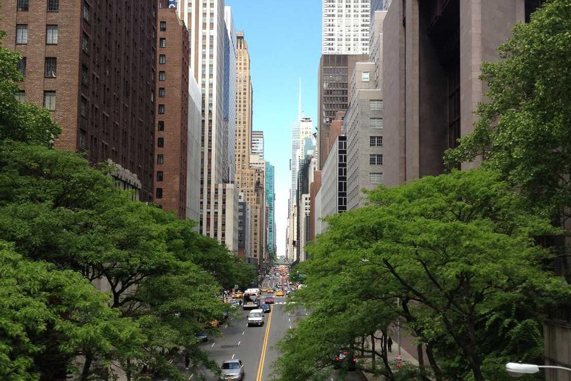 Sint natus quasi quos maxime